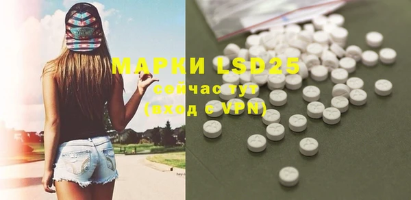 спиды Кодинск