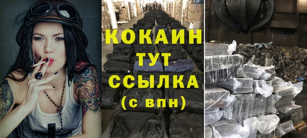 амф Корсаков