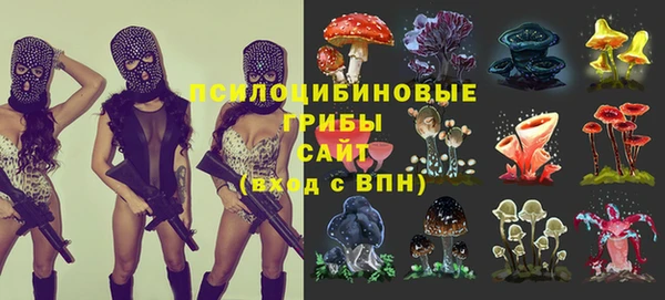 mix Козельск