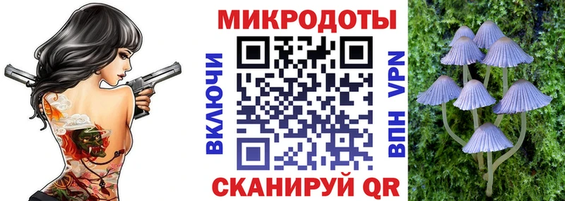 Купить  Высоцк  Псилоцибиновые грибы Cubensis 
