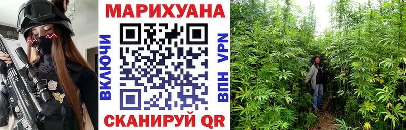 Бошки марихуана Amnesia  Купить закладки  Высоцк 